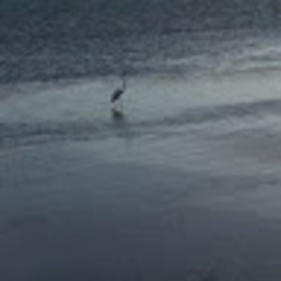 Meet your Posher, Blue - Picture 1 of 1